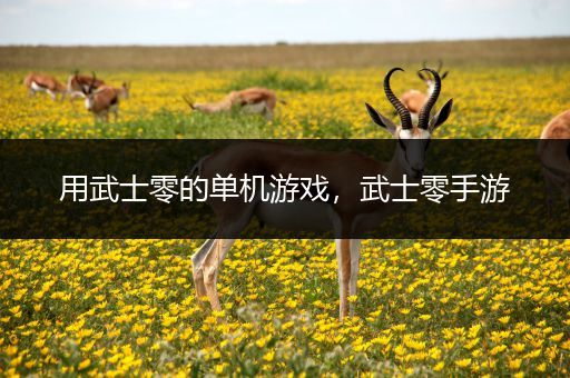 用武士零的单机游戏，武士零手游