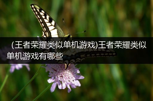 （王者荣耀类似单机游戏)王者荣耀类似单机游戏有哪些