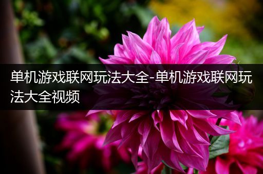 单机游戏联网玩法大全-单机游戏联网玩法大全视频
