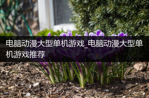 电脑动漫大型单机游戏_电脑动漫大型单机游戏推荐