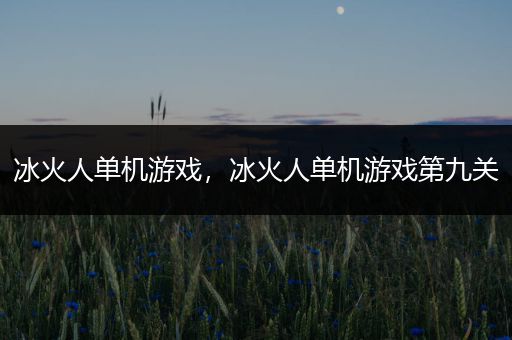 冰火人单机游戏，冰火人单机游戏第九关