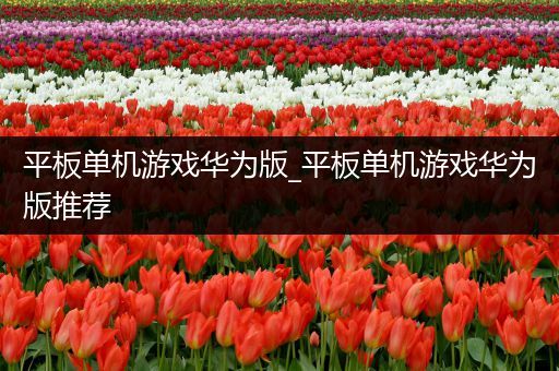 平板单机游戏华为版_平板单机游戏华为版推荐