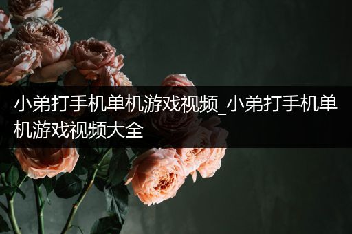 小弟打手机单机游戏视频_小弟打手机单机游戏视频大全
