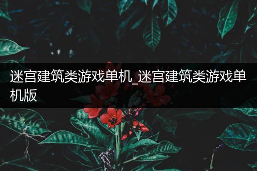 迷宫建筑类游戏单机_迷宫建筑类游戏单机版