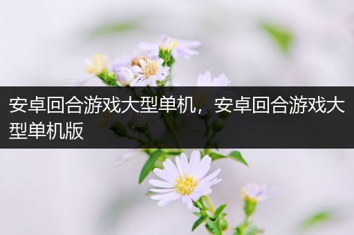 安卓回合游戏大型单机，安卓回合游戏大型单机版