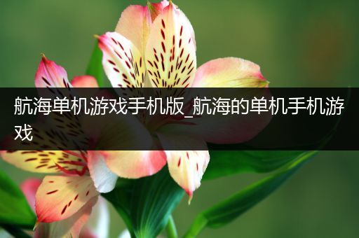 航海单机游戏手机版_航海的单机手机游戏