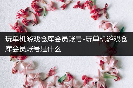 玩单机游戏仓库会员账号-玩单机游戏仓库会员账号是什么