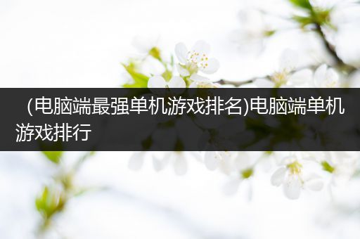 （电脑端最强单机游戏排名)电脑端单机游戏排行