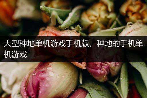 大型种地单机游戏手机版，种地的手机单机游戏