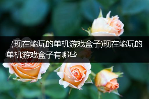 （现在能玩的单机游戏盒子)现在能玩的单机游戏盒子有哪些