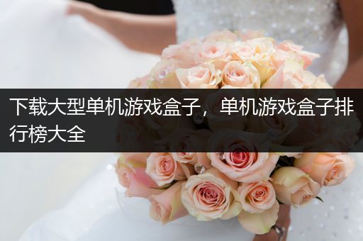 下载大型单机游戏盒子，单机游戏盒子排行榜大全