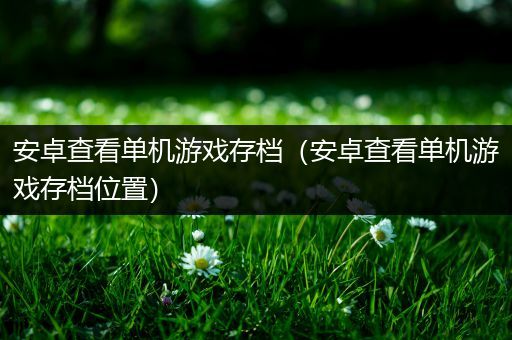 安卓查看单机游戏存档（安卓查看单机游戏存档位置）