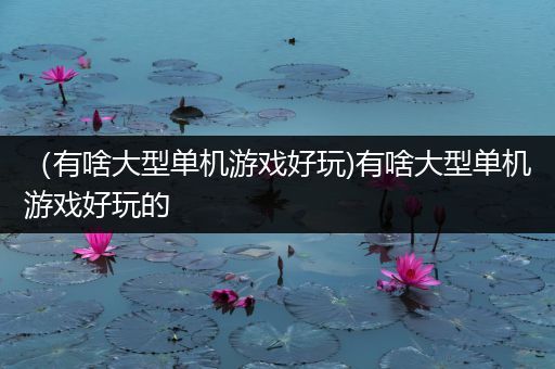 （有啥大型单机游戏好玩)有啥大型单机游戏好玩的