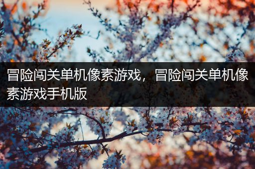 冒险闯关单机像素游戏，冒险闯关单机像素游戏手机版