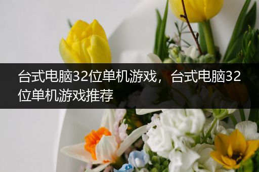台式电脑32位单机游戏，台式电脑32位单机游戏推荐