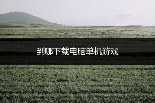 到哪下载电脑单机游戏