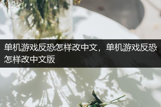 单机游戏反恐怎样改中文，单机游戏反恐怎样改中文版