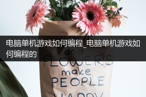 电脑单机游戏如何编程_电脑单机游戏如何编程的