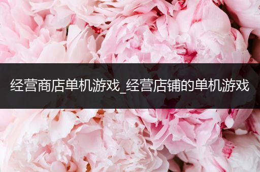 经营商店单机游戏_经营店铺的单机游戏