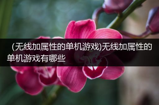 （无线加属性的单机游戏)无线加属性的单机游戏有哪些