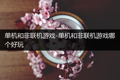 单机和非联机游戏-单机和非联机游戏哪个好玩