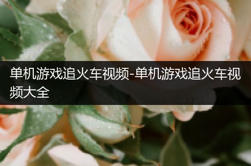 单机游戏追火车视频-单机游戏追火车视频大全