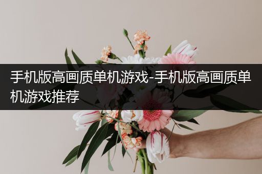 手机版高画质单机游戏-手机版高画质单机游戏推荐