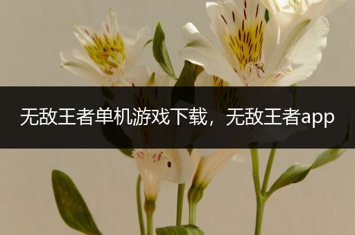 无敌王者单机游戏下载，无敌王者app