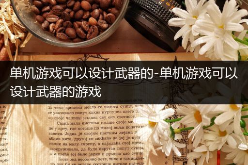 单机游戏可以设计武器的-单机游戏可以设计武器的游戏