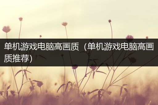 单机游戏电脑高画质（单机游戏电脑高画质推荐）