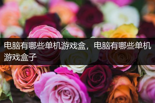 电脑有哪些单机游戏盒，电脑有哪些单机游戏盒子
