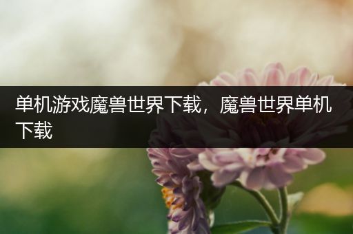 单机游戏魔兽世界下载，魔兽世界单机 下载