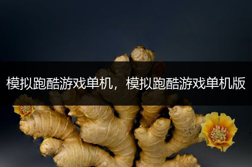 模拟跑酷游戏单机，模拟跑酷游戏单机版