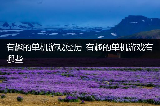有趣的单机游戏经历_有趣的单机游戏有哪些