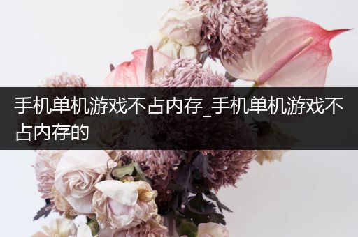 手机单机游戏不占内存_手机单机游戏不占内存的