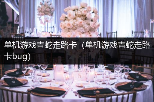 单机游戏青蛇走路卡（单机游戏青蛇走路卡bug）