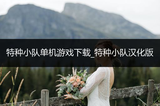 特种小队单机游戏下载_特种小队汉化版