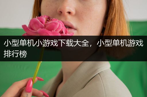 小型单机小游戏下载大全，小型单机游戏排行榜