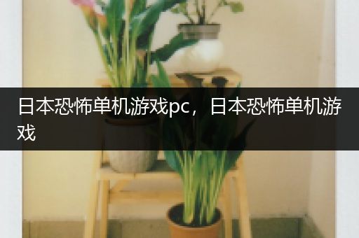 日本恐怖单机游戏pc，日本恐怖单机游戏