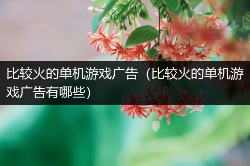 比较火的单机游戏广告（比较火的单机游戏广告有哪些）