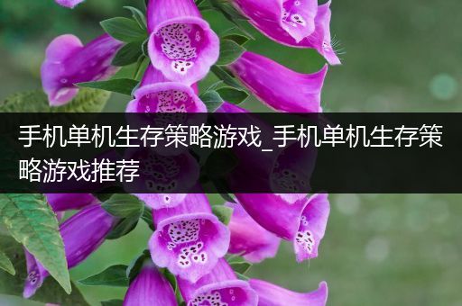手机单机生存策略游戏_手机单机生存策略游戏推荐