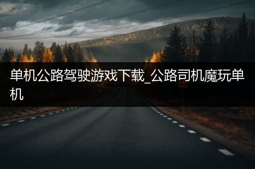 单机公路驾驶游戏下载_公路司机魔玩单机