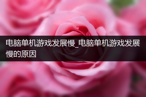 电脑单机游戏发展慢_电脑单机游戏发展慢的原因