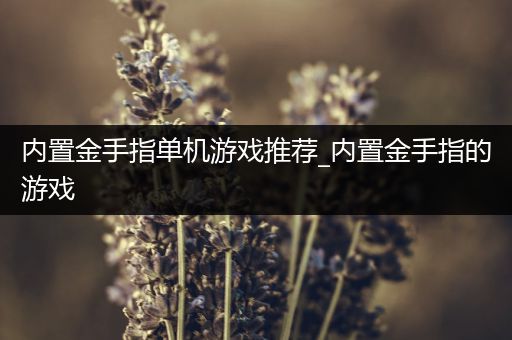 内置金手指单机游戏推荐_内置金手指的游戏