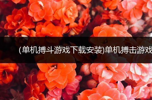 （单机搏斗游戏下载安装)单机搏击游戏