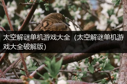 太空解谜单机游戏大全（太空解谜单机游戏大全破解版）