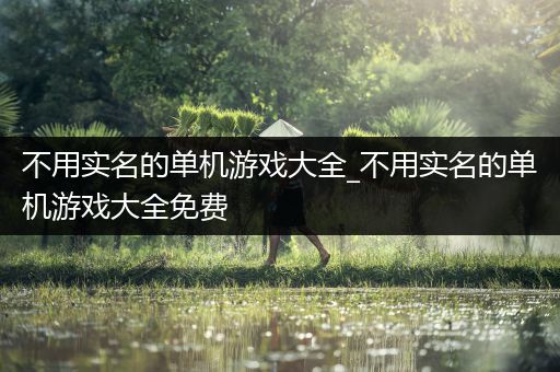 不用实名的单机游戏大全_不用实名的单机游戏大全免费
