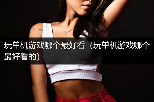 玩单机游戏哪个最好看（玩单机游戏哪个最好看的）