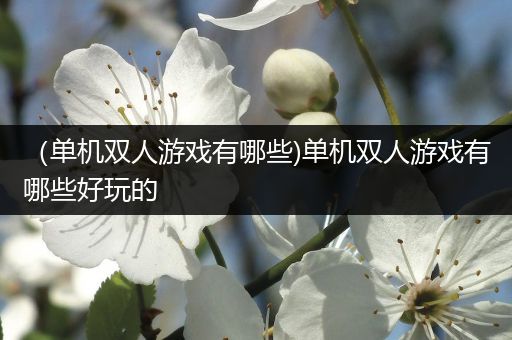 （单机双人游戏有哪些)单机双人游戏有哪些好玩的