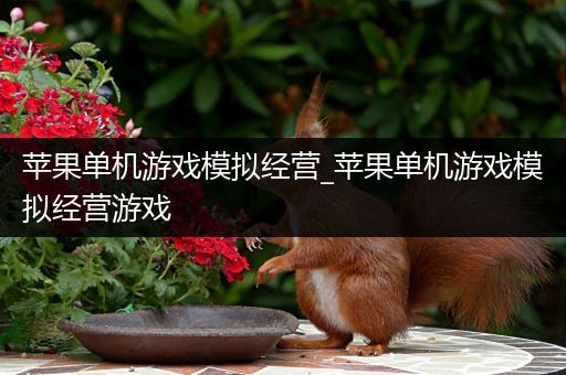 苹果单机游戏模拟经营_苹果单机游戏模拟经营游戏